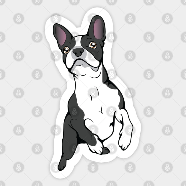 Boston Terrier Time! Sticker by SurefootDesigns